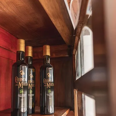 Quinta Da Moita Κατάλυμα σε φάρμα Tabuaço