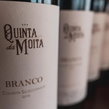 Quinta Da Moita Κατάλυμα σε φάρμα Tabuaço