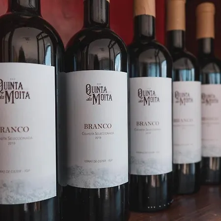 Quinta Da Moita * Tabuaço