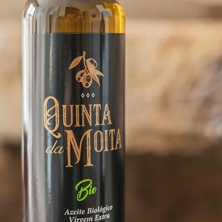 Quinta Da Moita