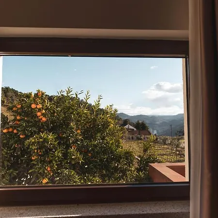 Quinta Da Moita Tabuaço