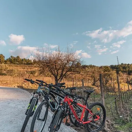 Quinta Da Moita Gospodarstwo agroturystyczne *