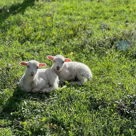 Κατάλυμα σε φάρμα Quinta Da Moita