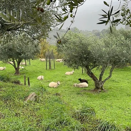 Quinta Da Moita Κατάλυμα σε φάρμα *