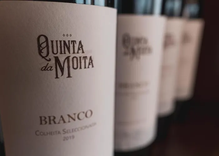 Quinta Da Moita Farmház Tabuaço