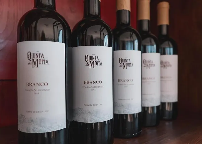 Quinta Da Moita * Tabuaço