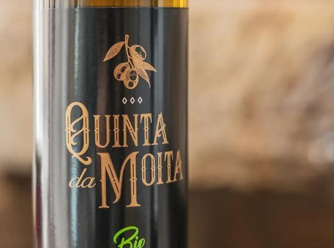 Quinta Da Moita