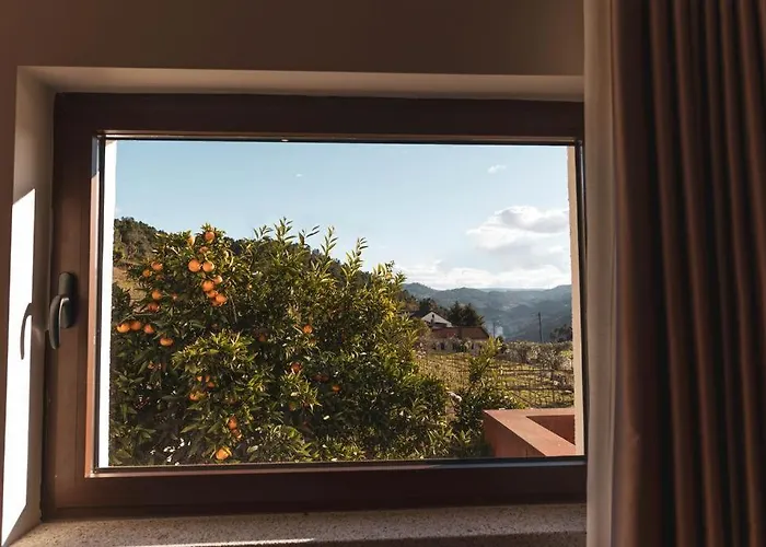 Quinta Da Moita Tabuaço