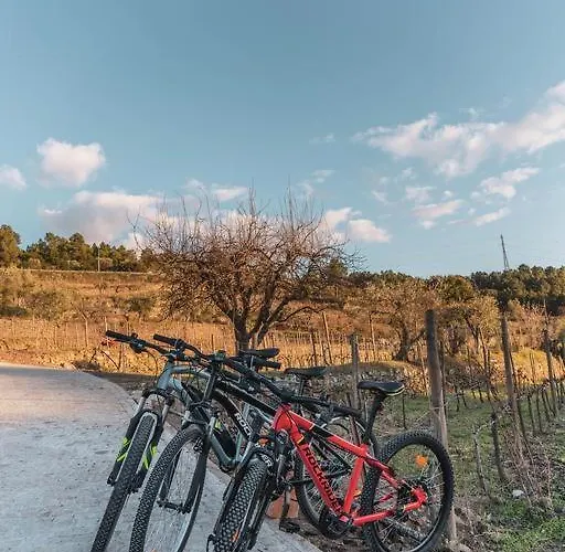Quinta Da Moita Κατάλυμα σε φάρμα *